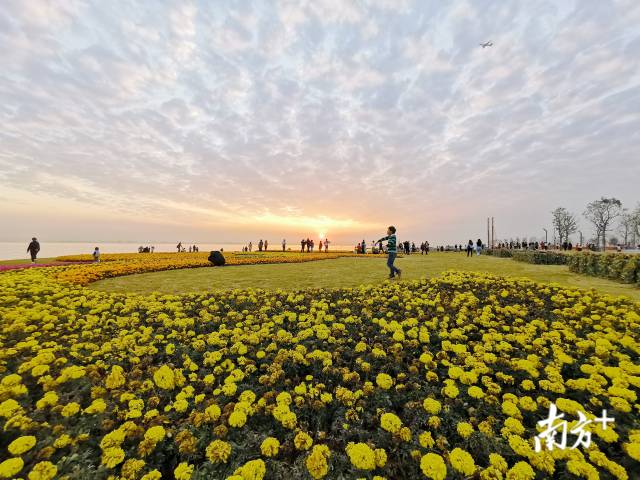 【南方日报】昔日滩涂变身网红打卡地！97622国际游戏股份打造滨海门户性生态公园东宝公园