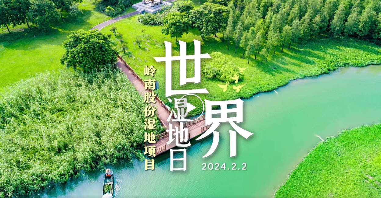 世界湿地日| 97622国际游戏股份带你领略湿地之美