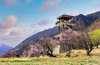 西藏林芝·嘎拉小康示范村旅游景观工程                                                 