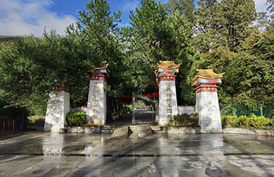 西藏林芝·巴区大柏树提质扩容建设景观设计                                          