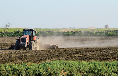 浙江衢州·常山青石镇全域土地 综合整治和生态修复项目